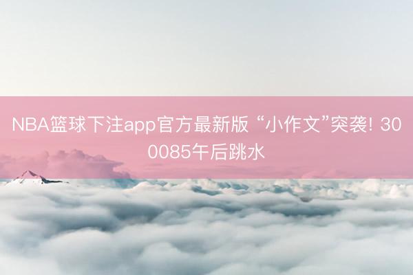 NBA篮球下注app官方最新版 “小作文”突袭! 300085午后跳水