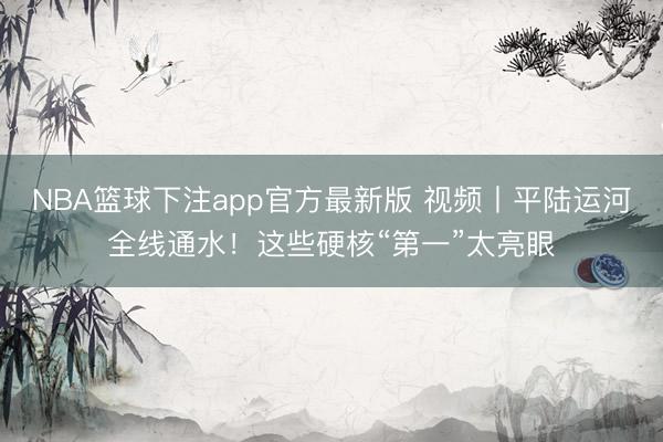 NBA篮球下注app官方最新版 视频丨平陆运河全线通水！这些硬核“第一”太亮眼