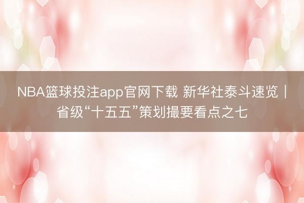 NBA篮球投注app官网下载 新华社泰斗速览｜省级“十五五”策划撮要看点之七