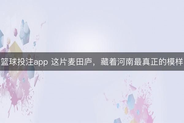 篮球投注app 这片麦田庐，藏着河南最真正的模样