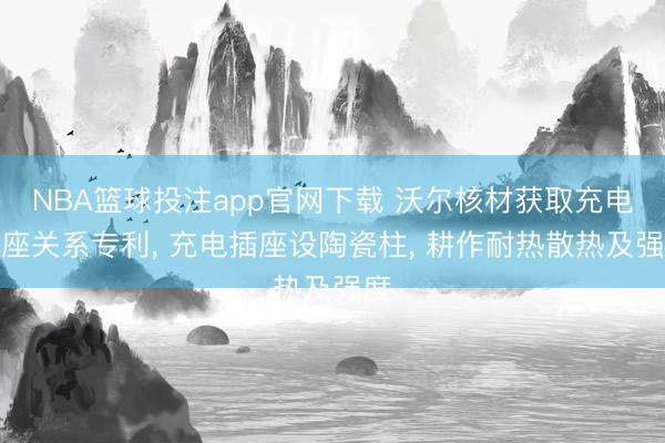NBA篮球投注app官网下载 沃尔核材获取充电插座关系专利， 充电插座设陶瓷柱， 耕作耐热散热及强度