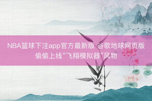 NBA篮球下注app官方最新版 谷歌地球网页版偷偷上线“飞翔模拟器”风物
