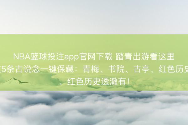 NBA篮球投注app官网下载 踏青出游看这里！韶关这5条古说念一键保藏：青梅、书院、古亭、红色历史透澈有！