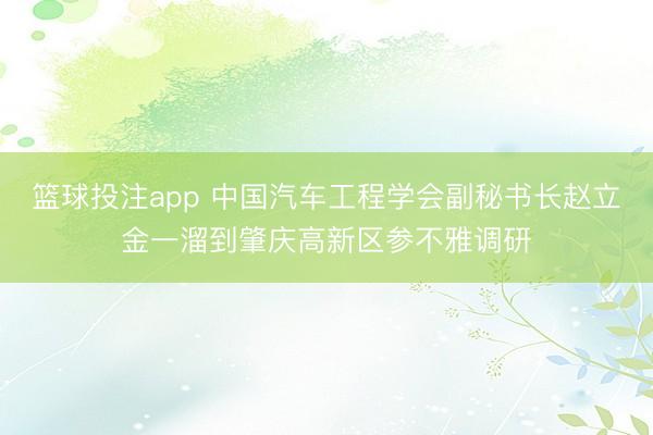 篮球投注app 中国汽车工程学会副秘书长赵立金一溜到肇庆高新区参不雅调研