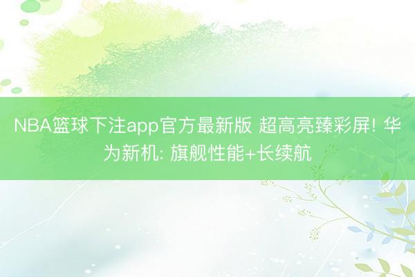 NBA篮球下注app官方最新版 超高亮臻彩屏! 华为新机: 旗舰性能+长续航